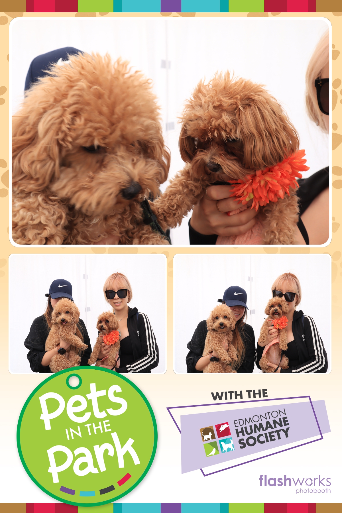 Edmonton Humane Society Pets in the Park | View more photos from the event at gallery.flashworksphotobooth.com/u/FlashworksPhotoboothInc/Edmonton-Humane-Society-Pets-in-the-Park