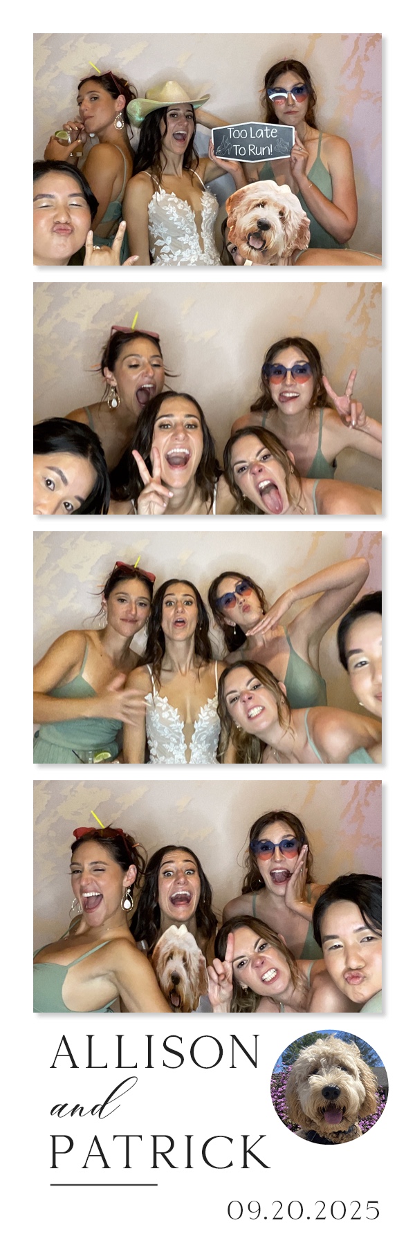 Allison and Patrick's Wedding | View more photos from the event at gallery.magicmirror707.com/u/MagicMirror707/Allison-and-Patricks-Wedding
