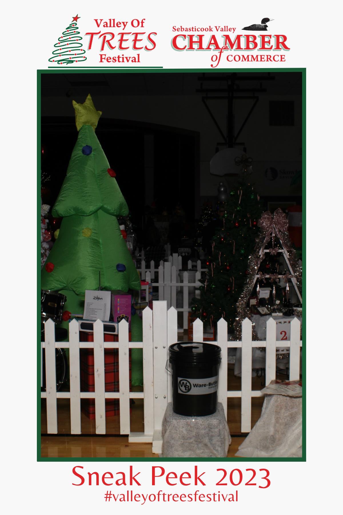 Valley of Trees Festival 2023 | View more photos from the event at gallery.mainemagicmirror.com/u/MaineMagicMirror/Valley-of-Trees-Festival-2023