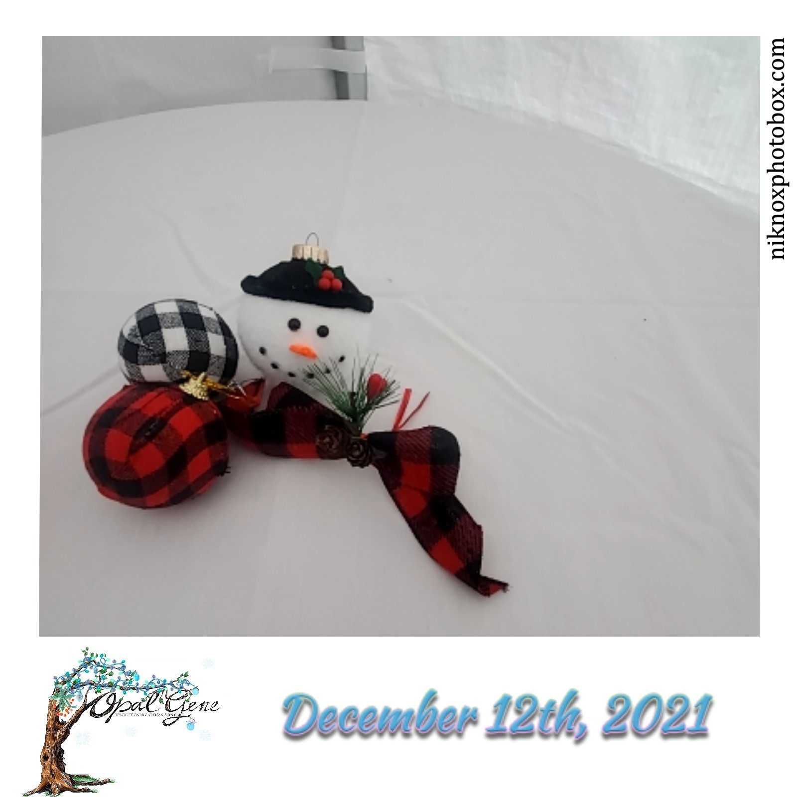 Opal Gene Winter Party | View more photos from the event at gallery.niknoxphotobox.com/u/NiKnox-Photo-Box/Opal-Gene-Winter-Party