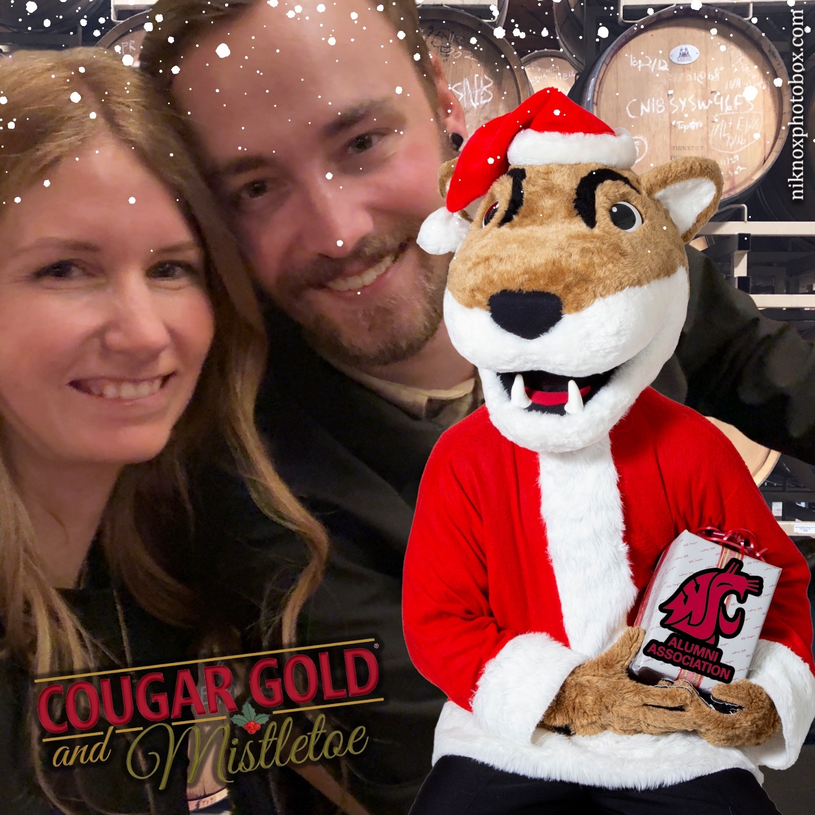 Cougar Gold and Mistletoe | View more photos from the event at gallery.niknoxphotobox.com/u/NiKnox-Photo-Box/Cougar-Gold-and-Mistletoe