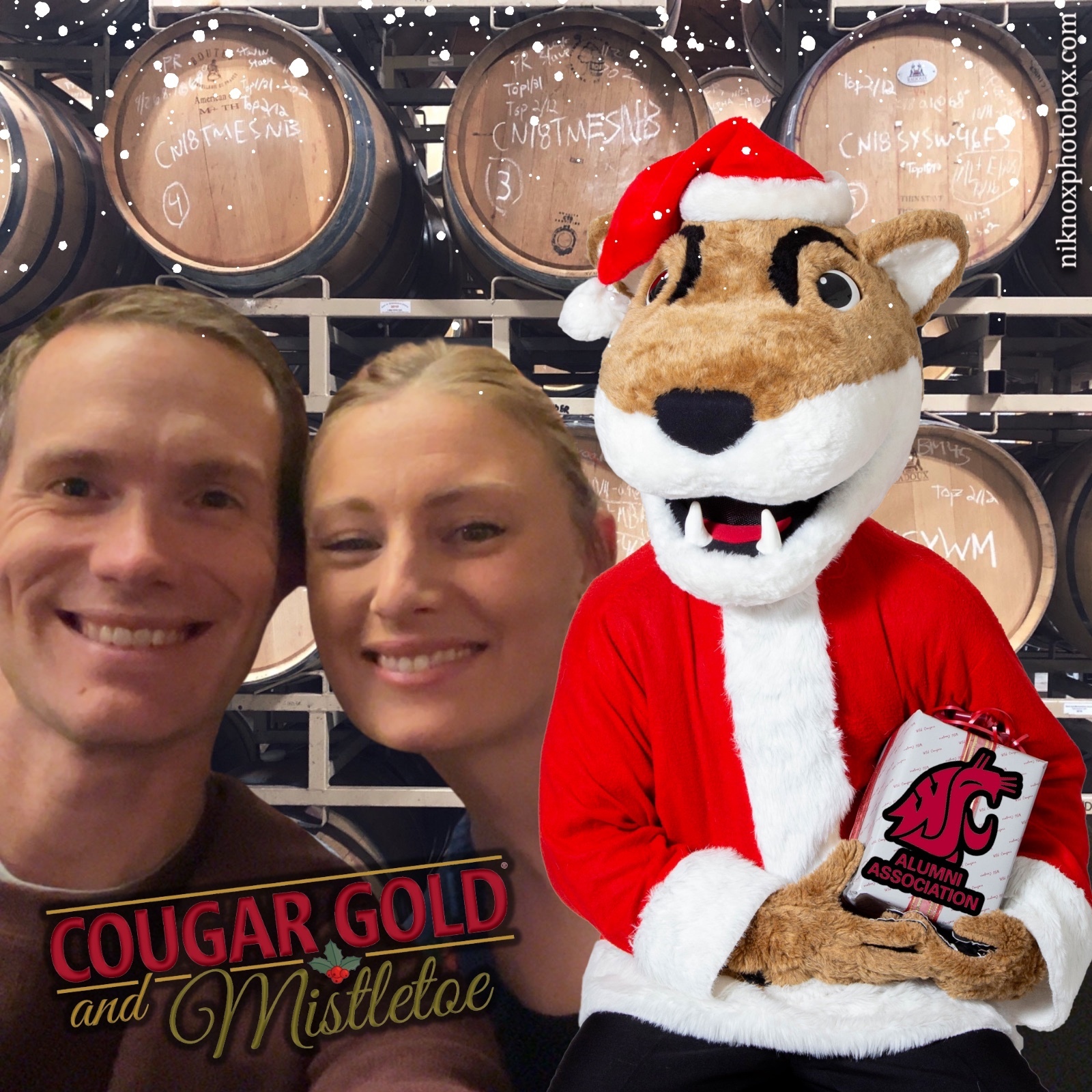 Cougar Gold and Mistletoe | View more photos from the event at gallery.niknoxphotobox.com/u/NiKnox-Photo-Box/Cougar-Gold-and-Mistletoe