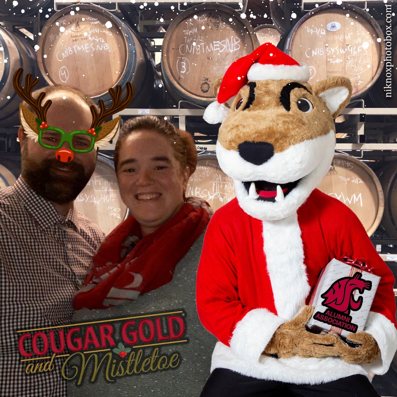 Cougar Gold and Mistletoe | View more photos from the event at gallery.niknoxphotobox.com/u/NiKnox-Photo-Box/Cougar-Gold-and-Mistletoe