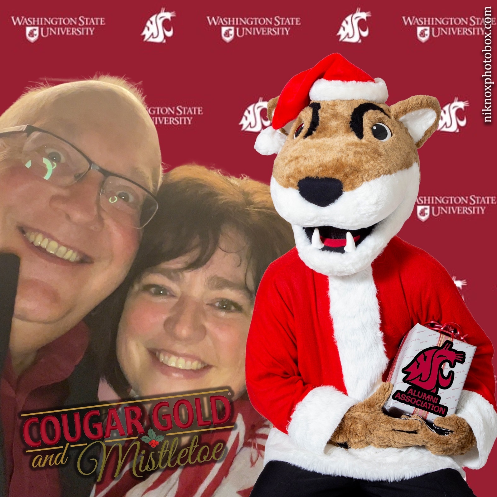 Cougar Gold and Mistletoe | View more photos from the event at gallery.niknoxphotobox.com/u/NiKnox-Photo-Box/Cougar-Gold-and-Mistletoe