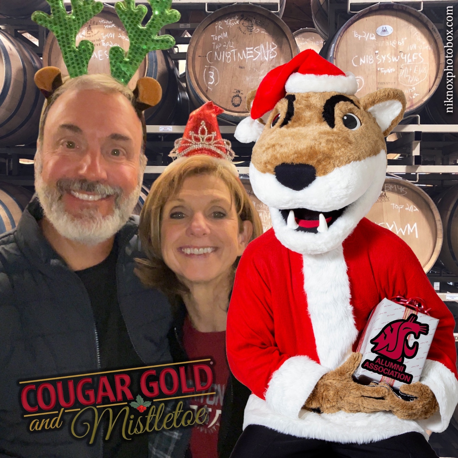 Cougar Gold and Mistletoe | View more photos from the event at gallery.niknoxphotobox.com/u/NiKnox-Photo-Box/Cougar-Gold-and-Mistletoe