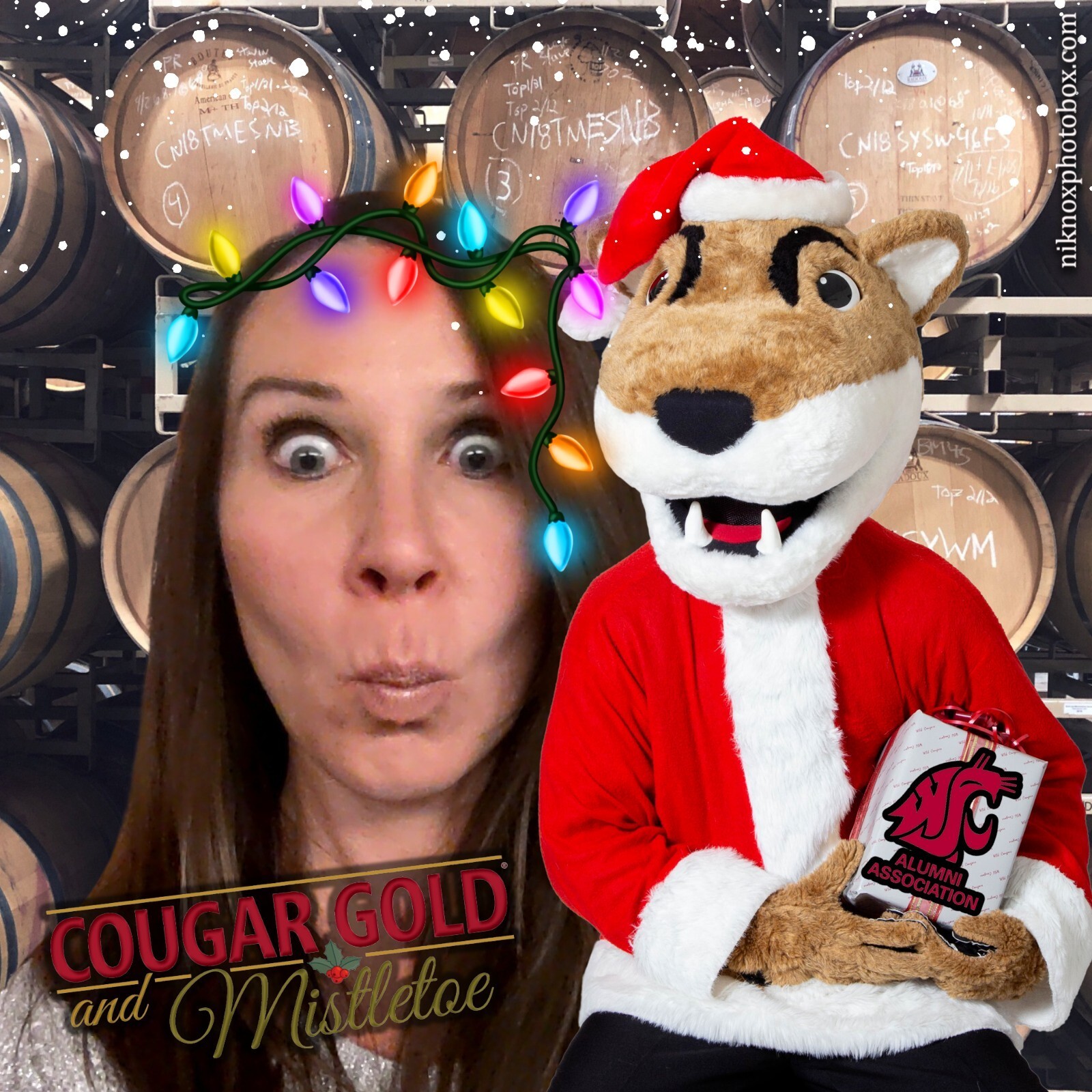 Cougar Gold and Mistletoe | View more photos from the event at gallery.niknoxphotobox.com/u/NiKnox-Photo-Box/Cougar-Gold-and-Mistletoe