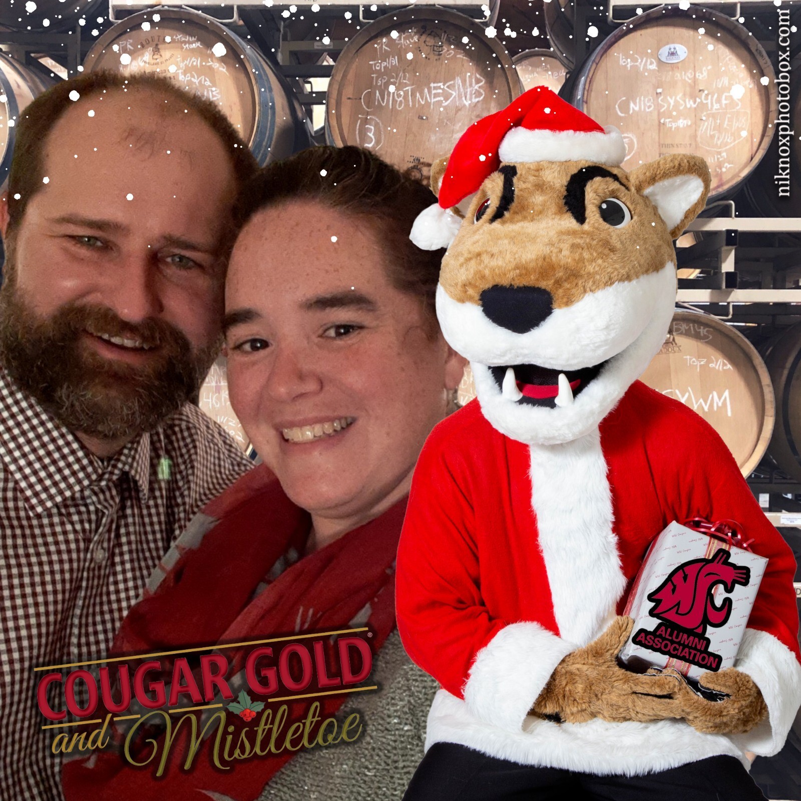 Cougar Gold and Mistletoe | View more photos from the event at gallery.niknoxphotobox.com/u/NiKnox-Photo-Box/Cougar-Gold-and-Mistletoe
