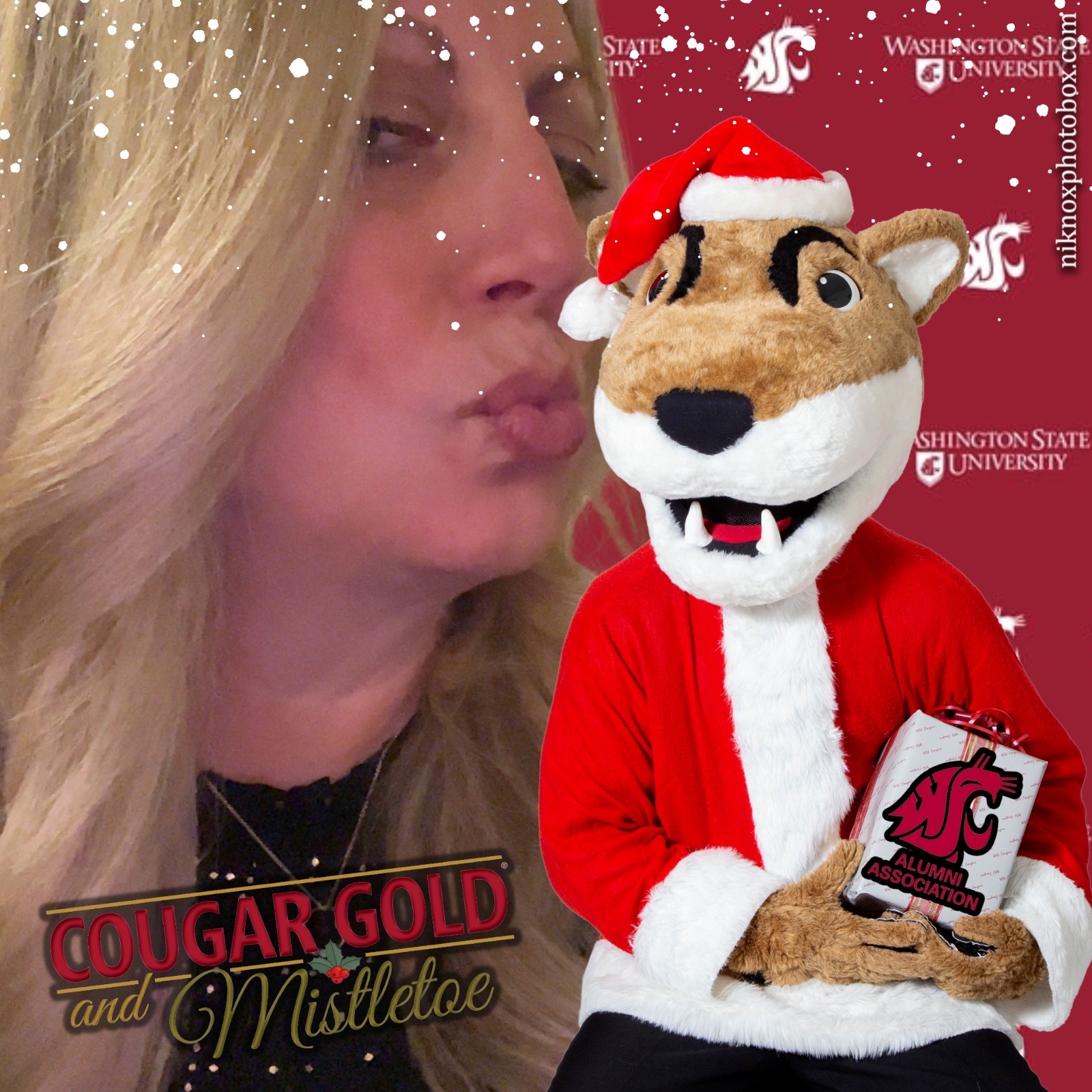 Cougar Gold and Mistletoe | View more photos from the event at gallery.niknoxphotobox.com/u/NiKnox-Photo-Box/Cougar-Gold-and-Mistletoe
