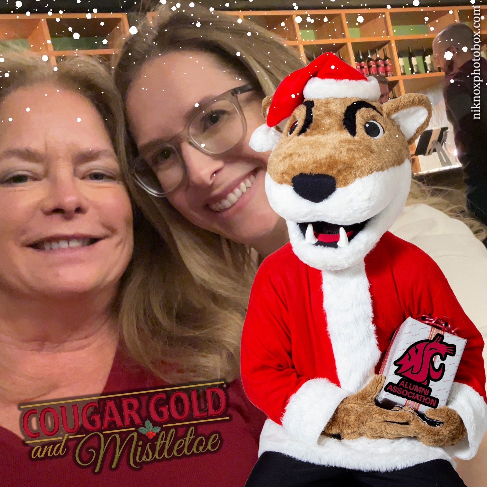 Cougar Gold and Mistletoe | View more photos from the event at gallery.niknoxphotobox.com/u/NiKnox-Photo-Box/Cougar-Gold-and-Mistletoe