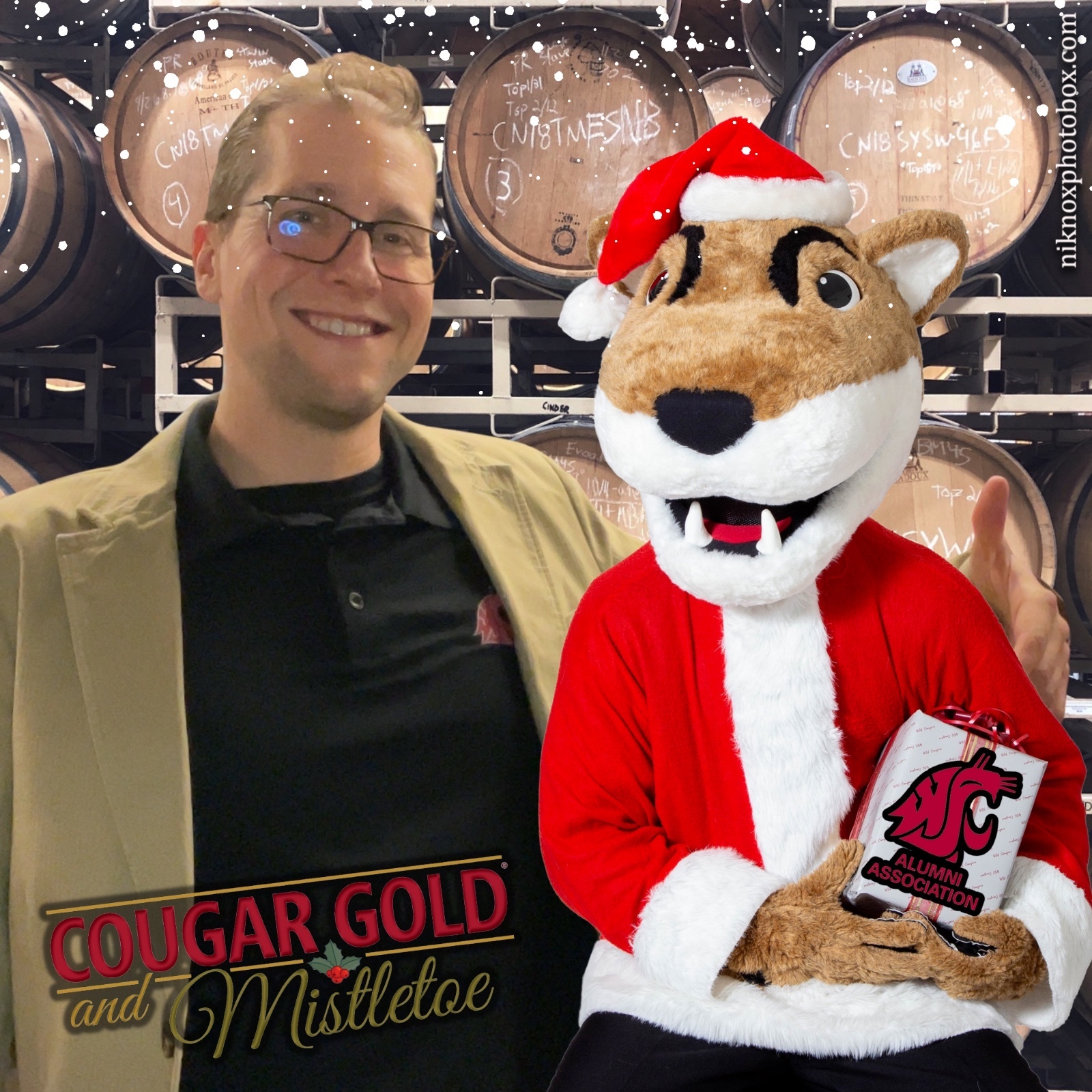 Cougar Gold and Mistletoe | View more photos from the event at gallery.niknoxphotobox.com/u/NiKnox-Photo-Box/Cougar-Gold-and-Mistletoe