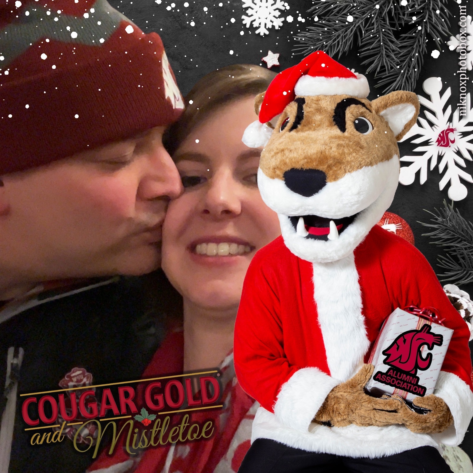 Cougar Gold and Mistletoe | View more photos from the event at gallery.niknoxphotobox.com/u/NiKnox-Photo-Box/Cougar-Gold-and-Mistletoe