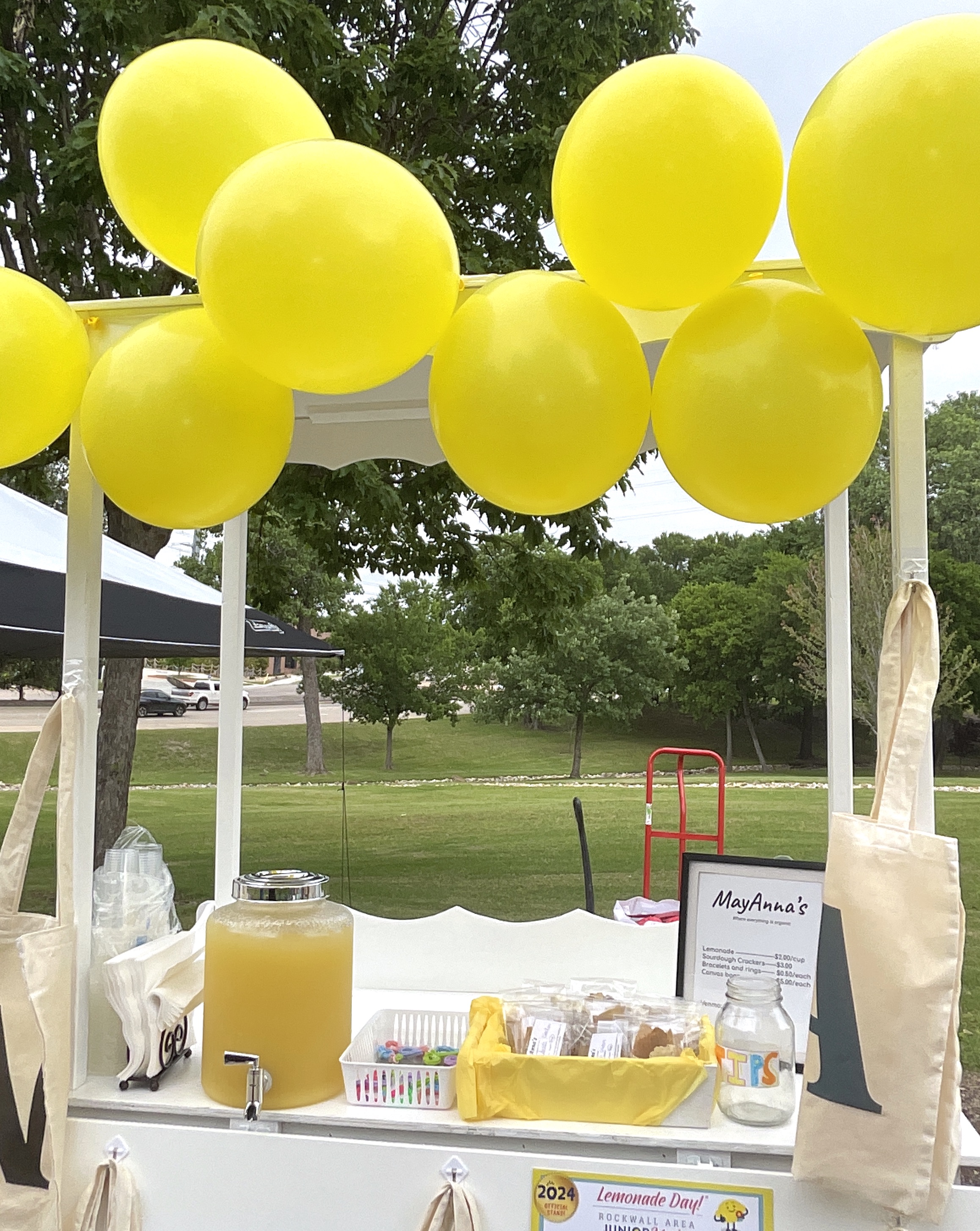 Lemonade Day:  The Junior Market | View more photos from the event at gallery.rckapturedmemories.com/u/RCKapturedMemories/Lemonade-Day-The-Junior-Market